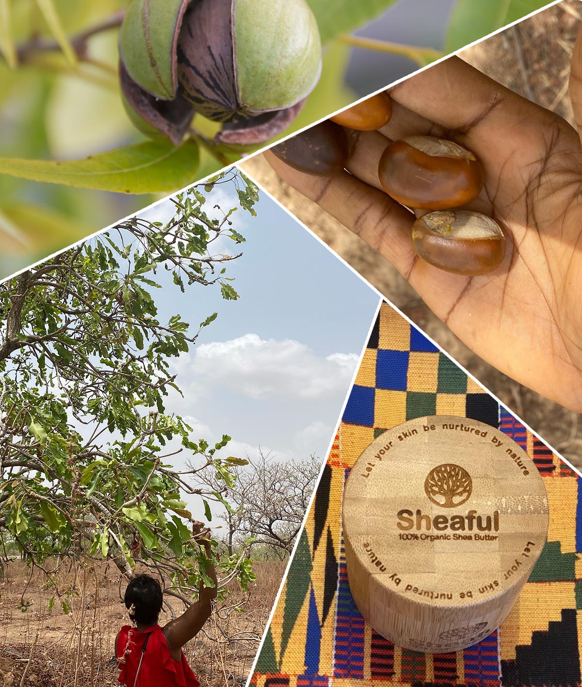 100% Organic Unrefined Shea Butter